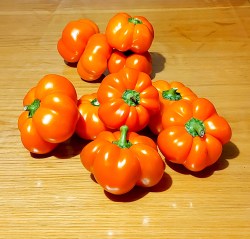 fon baron orange3